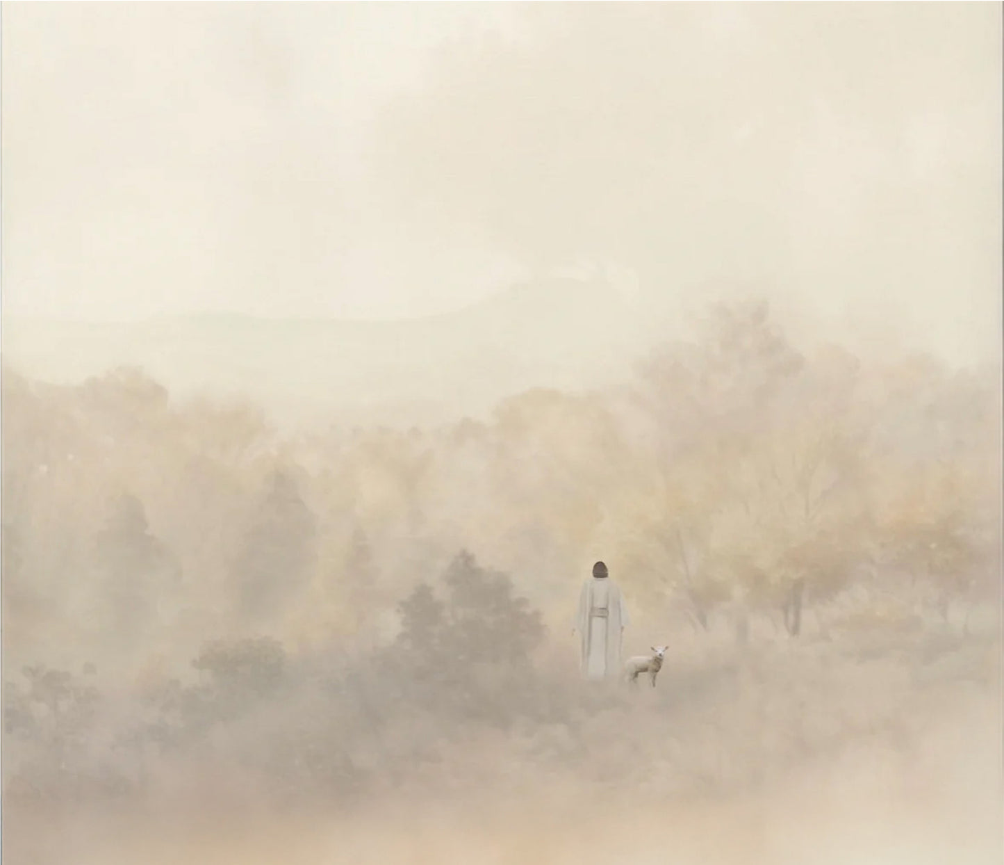 framed_canvas_image_horizontal