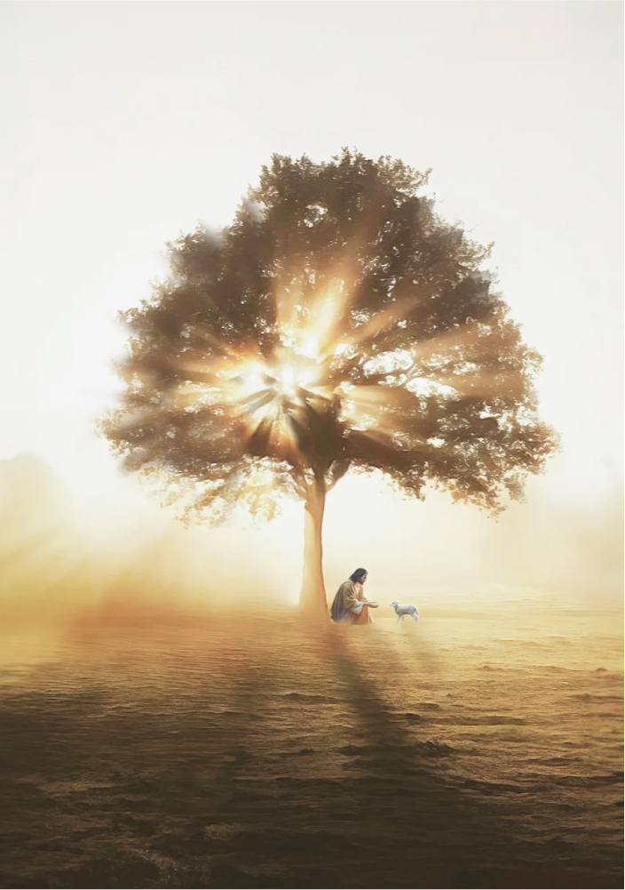 framed_canvas_image_vertical