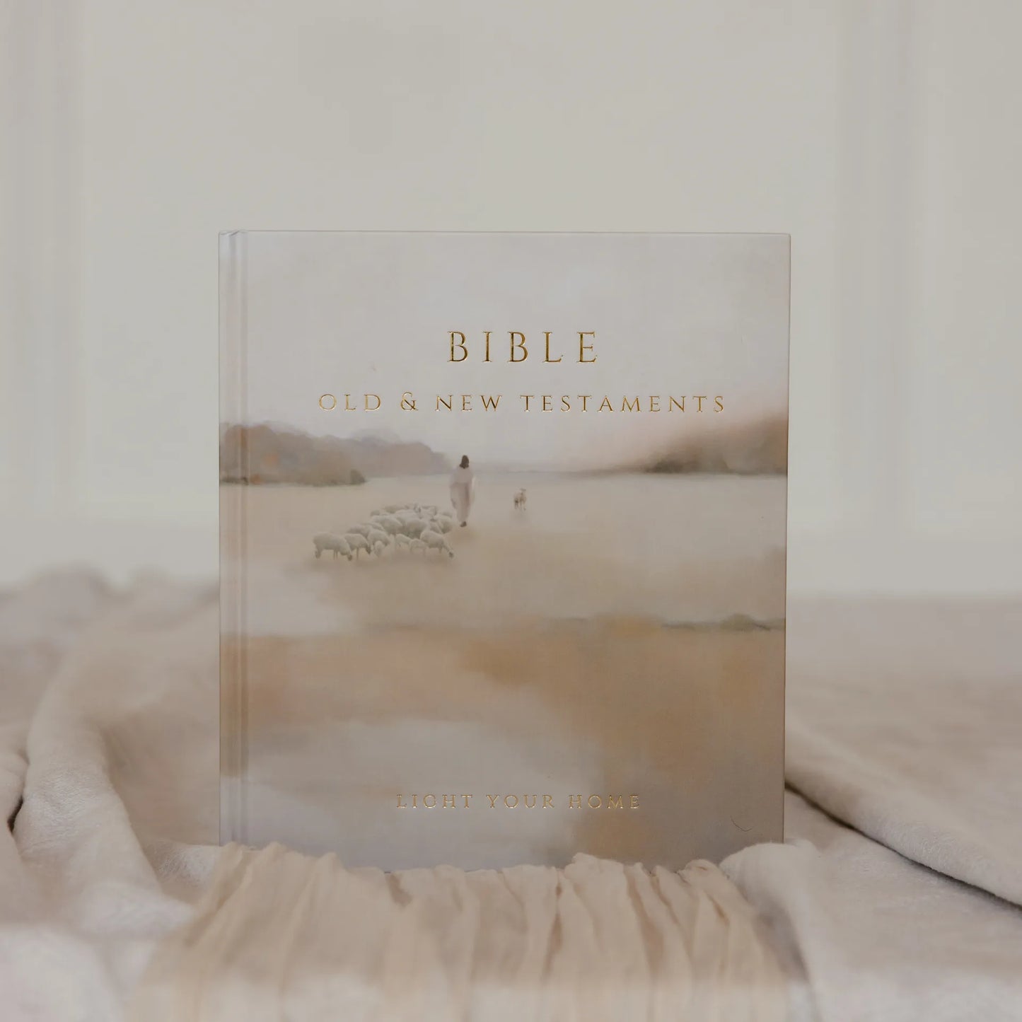 Bible - Jesus Leaves The 99