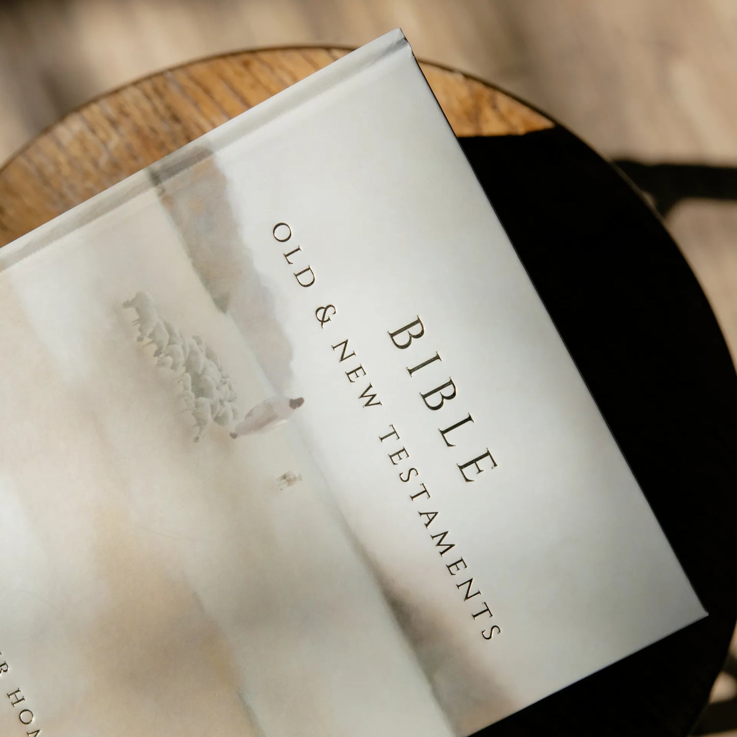 Bible - Jesus Leaves The 99