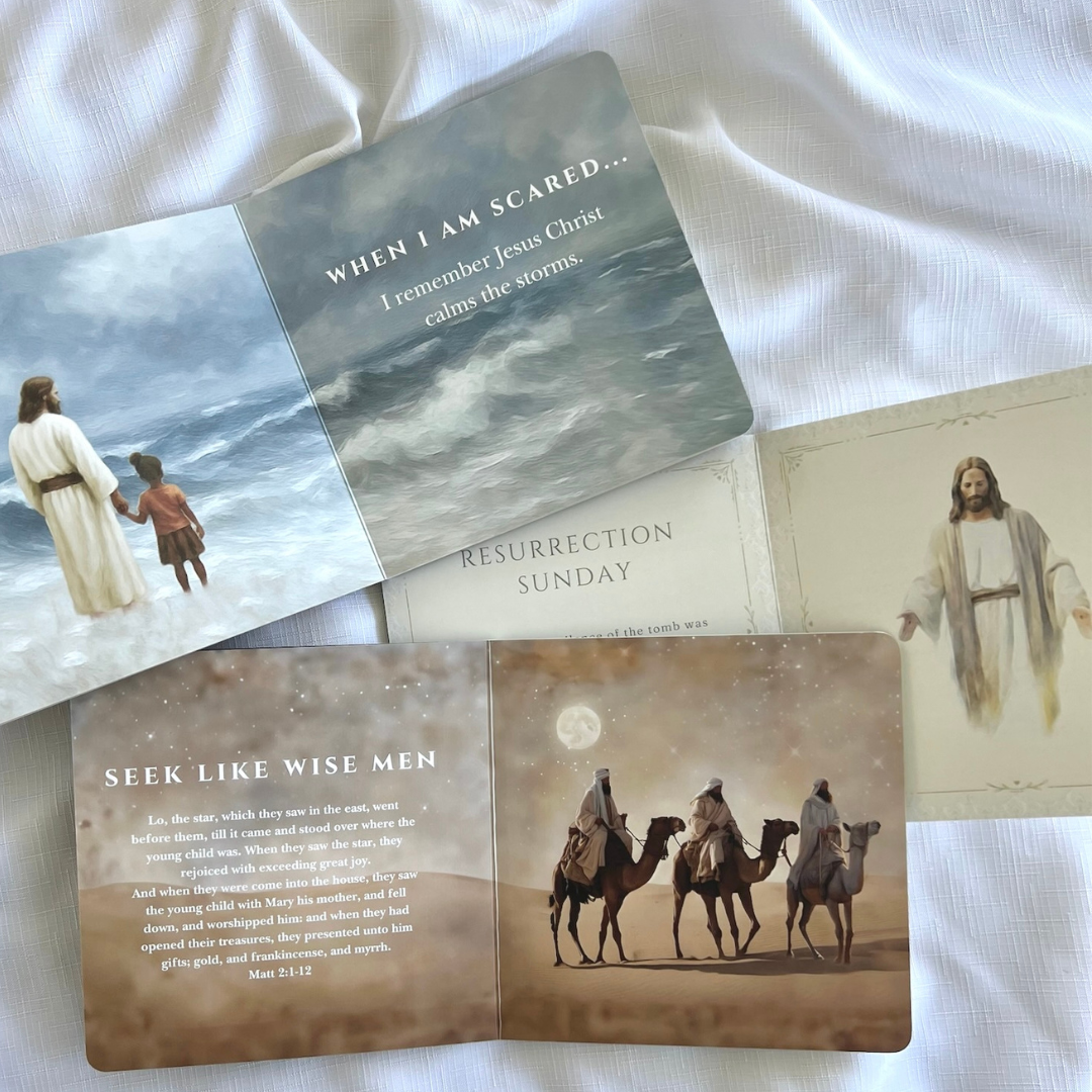 Board Book Bundle of 3