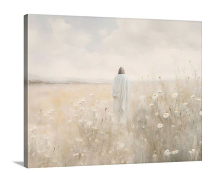 Field of Light - Canvas