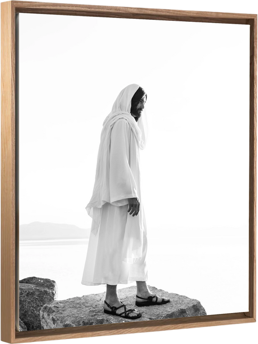 Lamb of God - Canvas