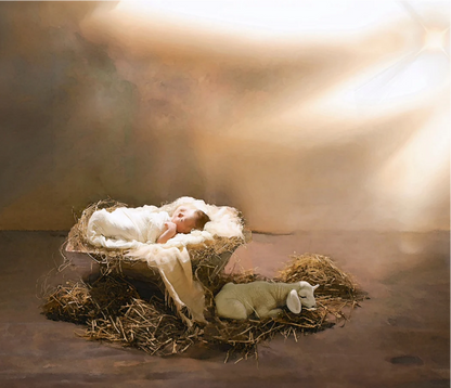 framed_canvas_image_horizontal