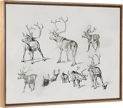 Reindeer - Canvas