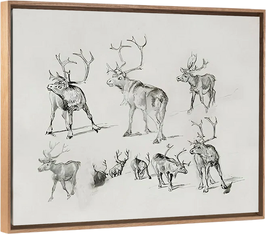 Reindeer - Canvas