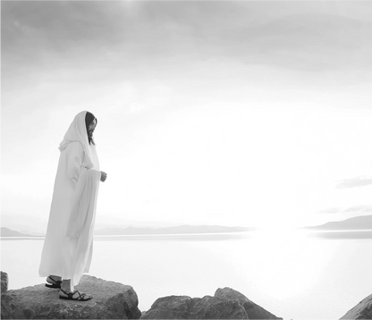 framed_canvas_image_horizontal