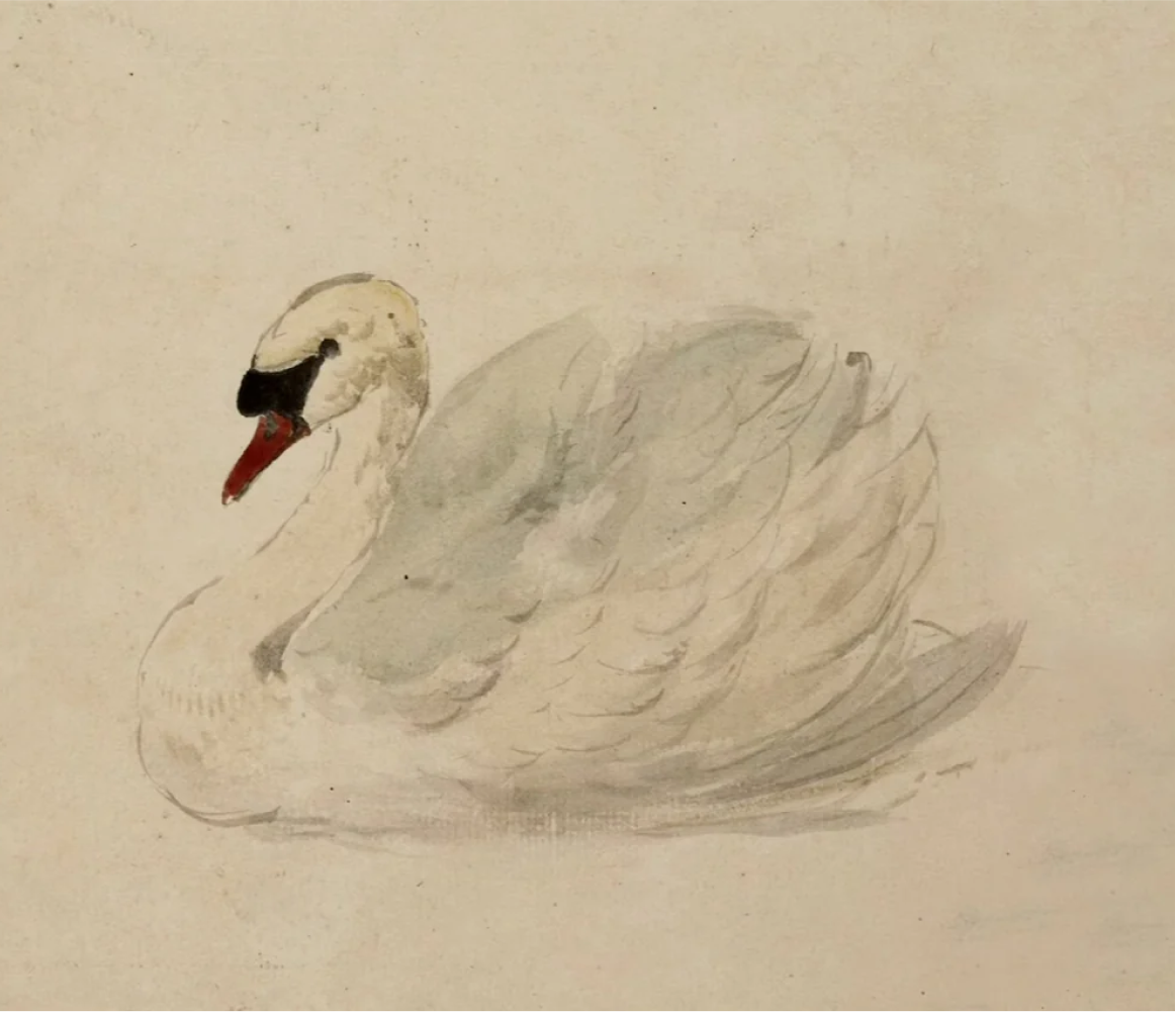 framed_canvas_image_horizontal