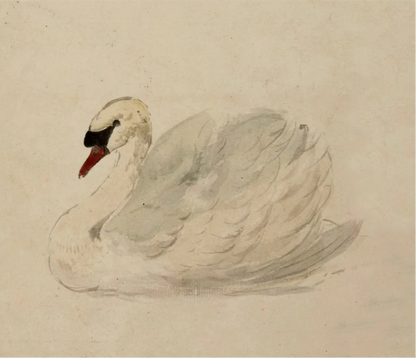 framed_canvas_image_horizontal