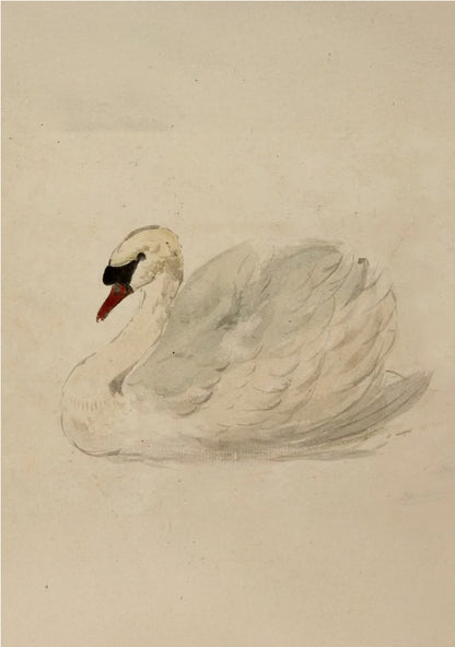 framed_canvas_image_vertical