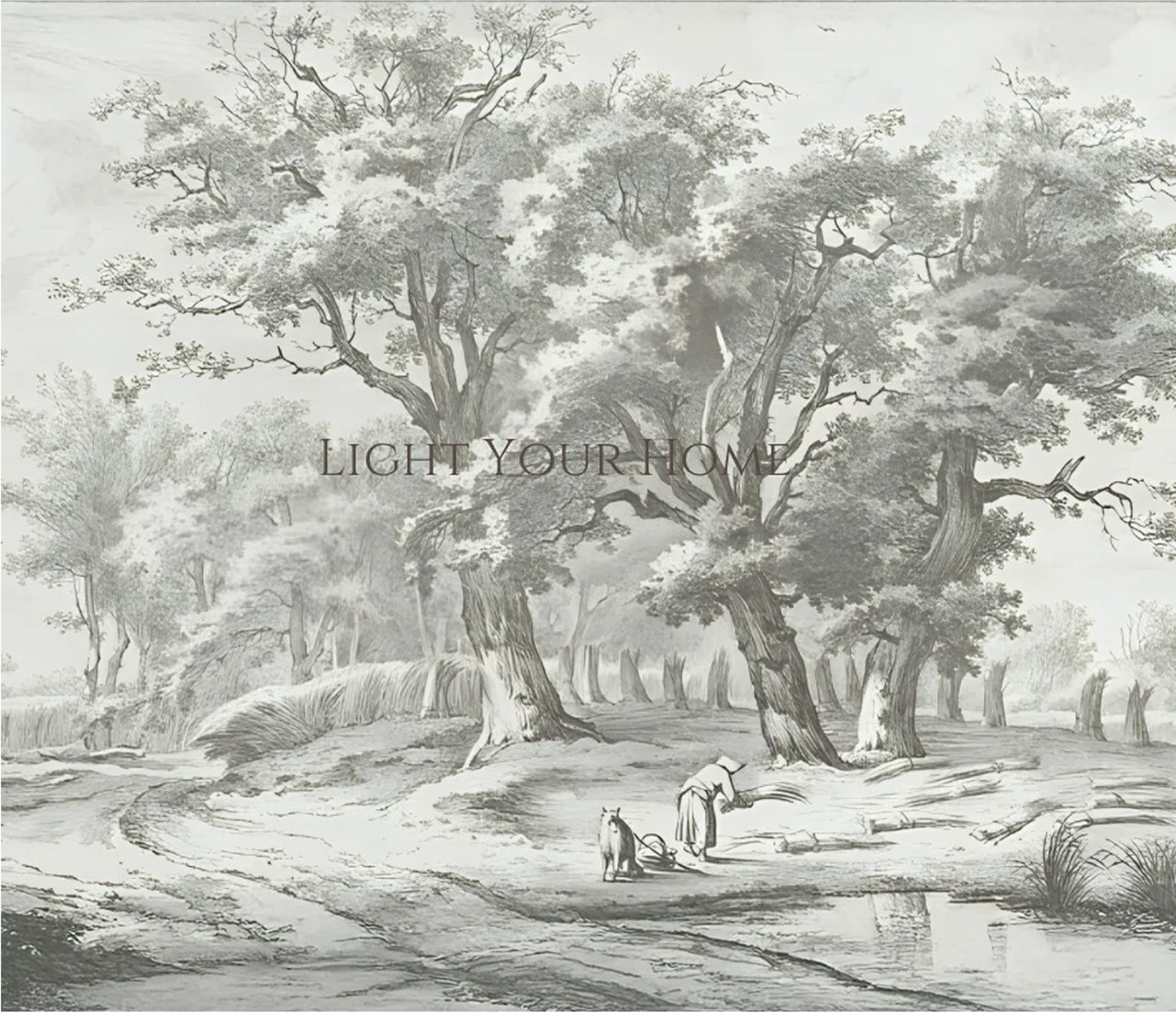 framed_canvas_image_horizontal