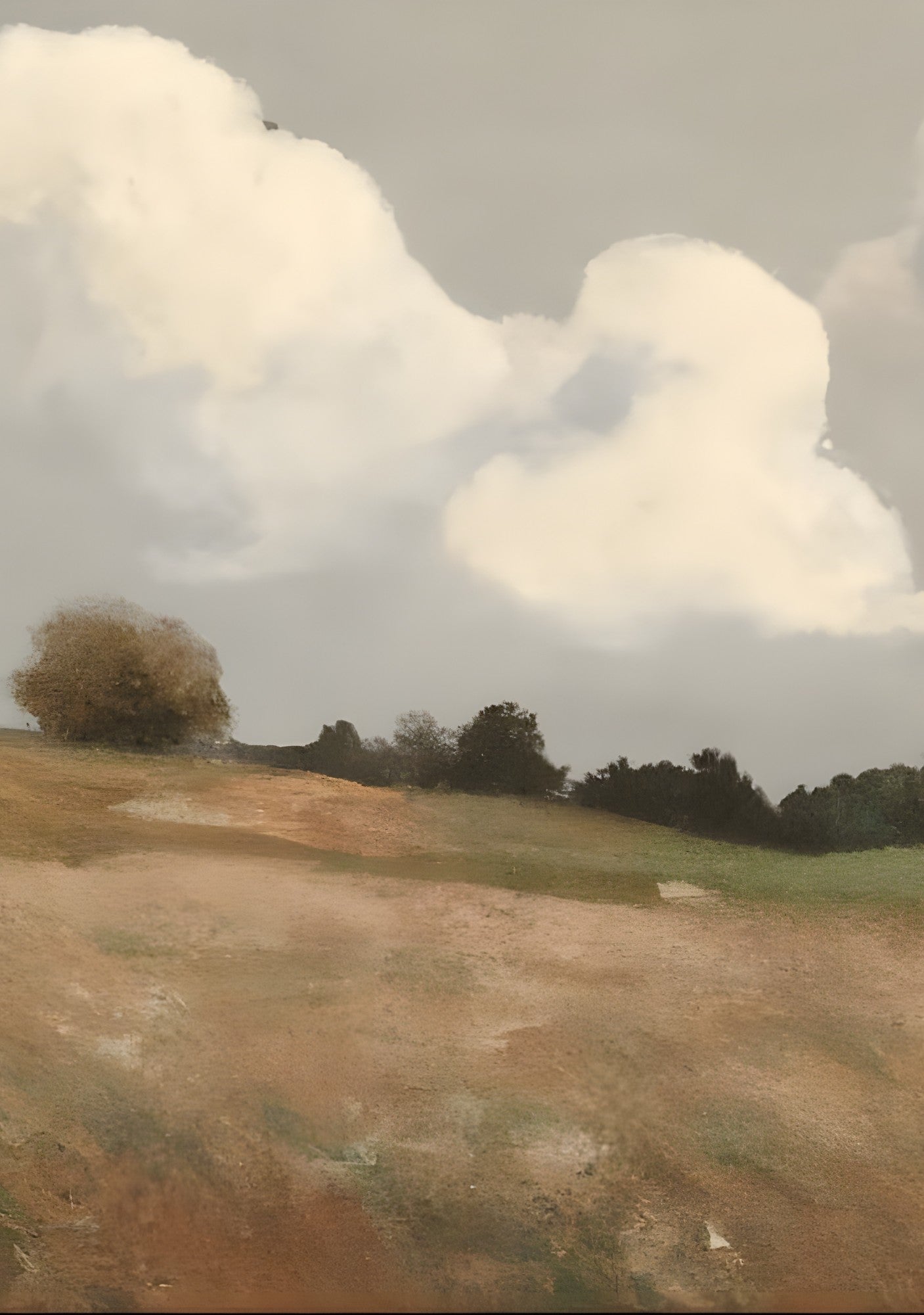 framed_canvas_image_vertical