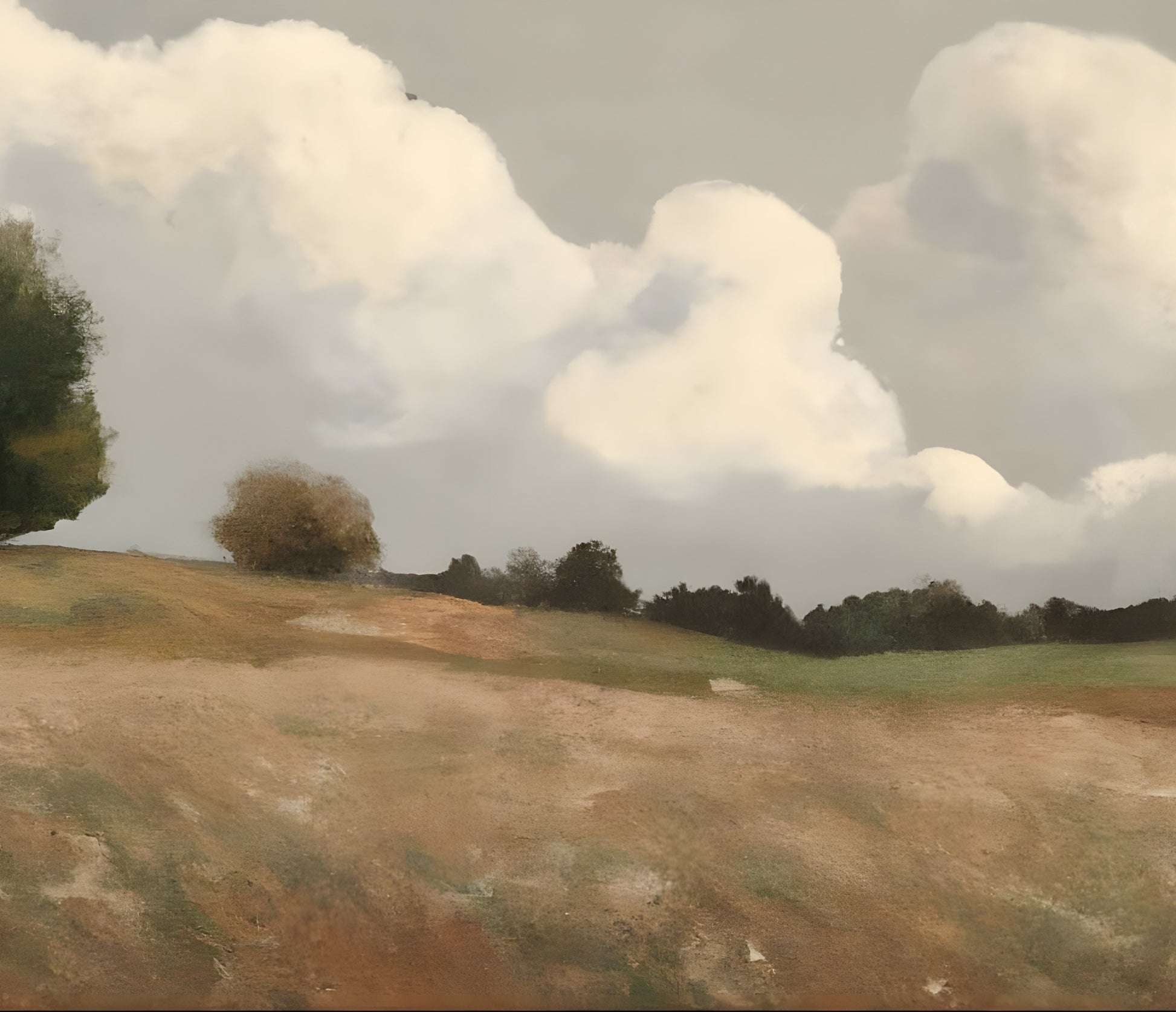 framed_canvas_image_horizontal